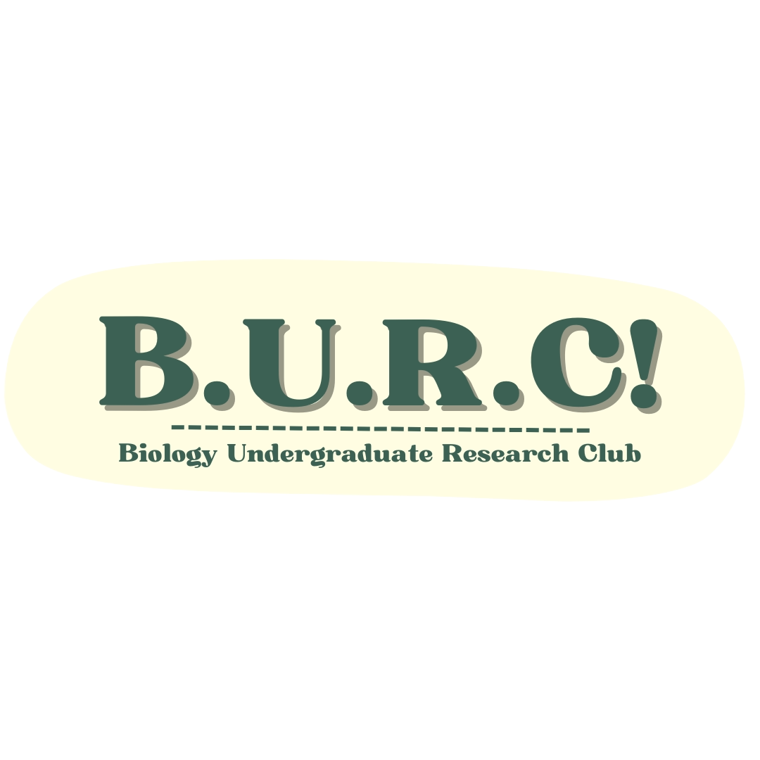 B.U.R.C. Logo